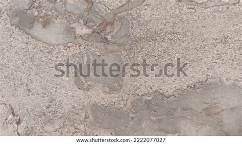 Marble Stone Texture Marmoreal White Background Stock Photo