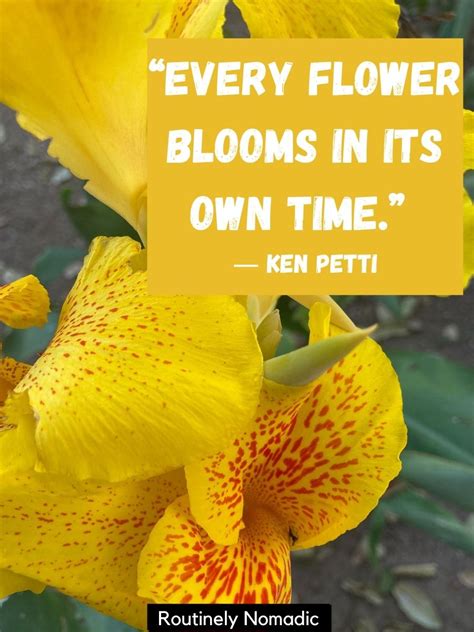 Short Flower Quotes 110 Amazing Flower Sayings Routinely Nomadic