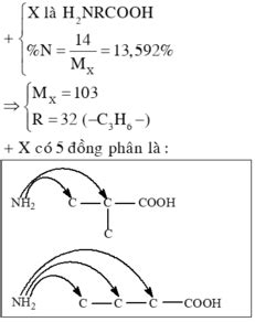 Amino axit X có một nhóm amino và một nhóm cacboxyl trong đó phần trăm