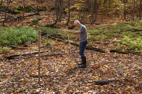 vernal_pool – Long Driveway