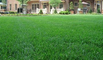 Lawn Care Northern Virginia - O'Grady's Landscape - Sterling, VA