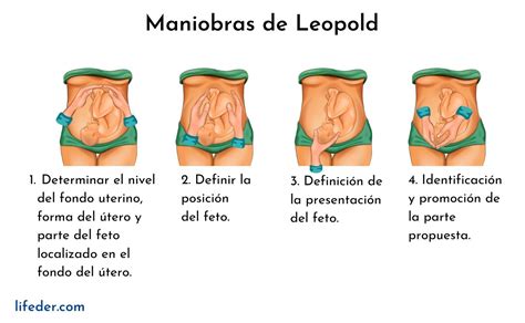 Matriz De Leopold Para Que Sirve Ventajas Ejemplos Matriz Images The