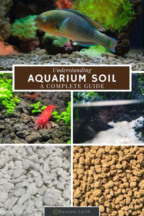 Aquarium Substrate & Soil: The Most Complete Guide