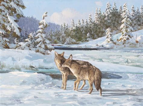 Duncan Mackinnon Crockford COYOTE FRIENDS Hodgins Art Auction