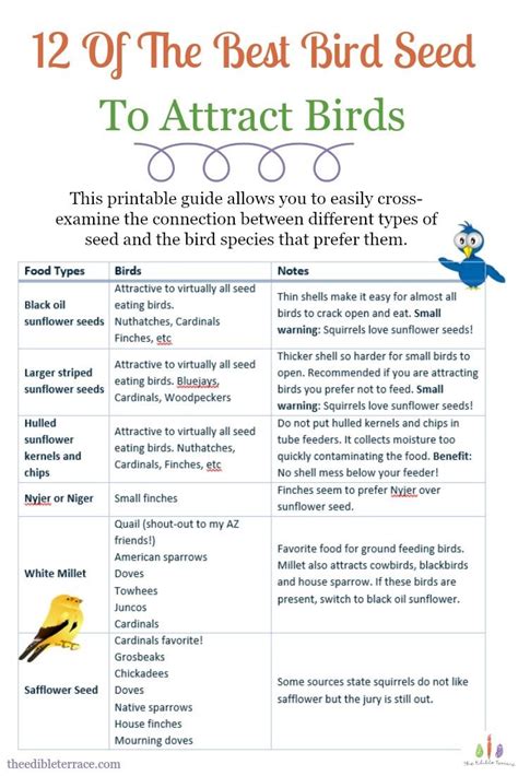 12 Of The Best Bird Seed To Attract Birds Printable How To Attract