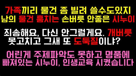 사이다사연마음대로 물건 사용하는 시누이 한번 용서해줘도 못고치길래 인생교육 제대로 시켜줬습니다 실화사연사이다 사연