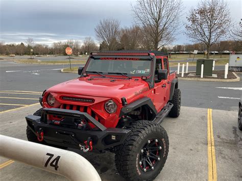 guys  quick      wild rheep