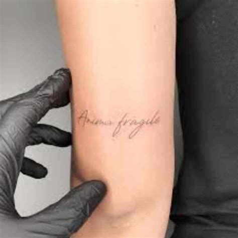 Tatuaggio Anima Fragile Significato Idee E Costi Inkme Tattoo Blog