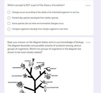 Living Environment Regents Review 10 Quiz Topic 7 Evolution TpT