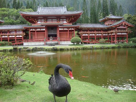 The Byodo-In Temple Wallpapers - Wallpaper Cave