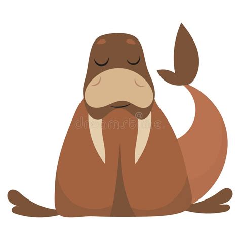 Cartoon Walrus Vector Illustration Of A Walrus Drawing Animal For