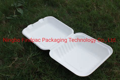 Eco Friendly Bento Lunch Box Disposable Biodegradable Clamshell