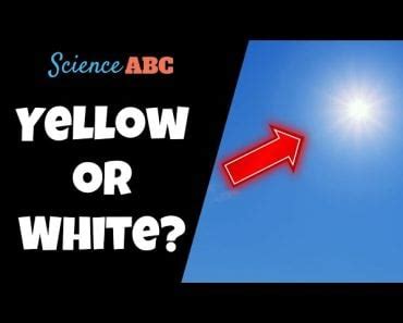 Why Does Skin Get Tanned? » ScienceABC