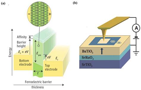 Ferroelectric Materials