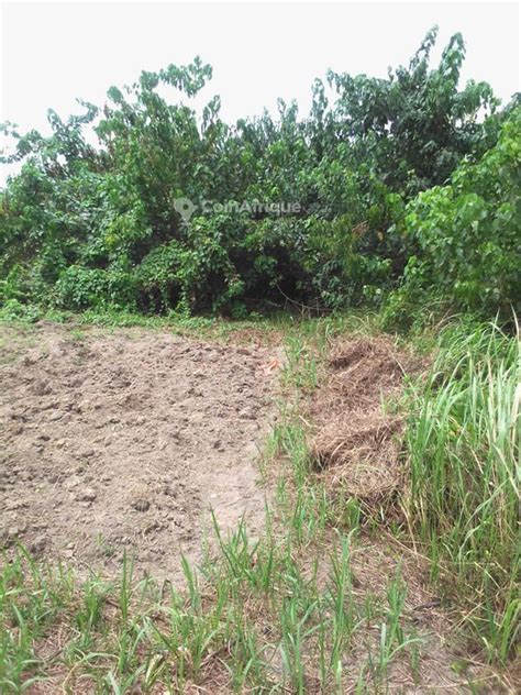 Terrains Terrain M Yaound Au Cameroun Coinafrique Cameroun