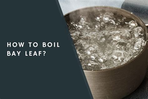 How To Boil Bay Leaf Condimentbucket