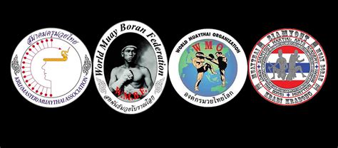 Wmo Italia World Muay Thai Organization In Italy