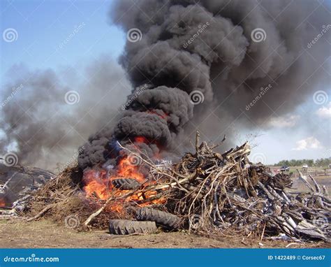 Burning Trash Pile Stock Image Image Of Debris Tree 1422489