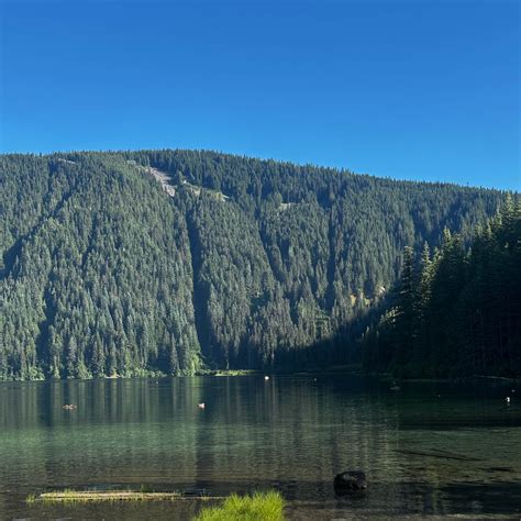 Walupt Lake Campground Randle Wa