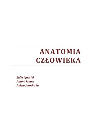 Anatomia Notatki Studocu