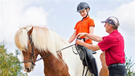 How To Ride A Horse The Essential Basics You Really Need To Know