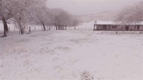 La Nieve Cubri Los Paisajes Catamarque Os El Esquiu