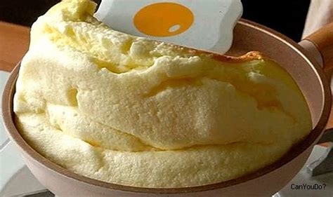 Fluffy egg omelette - Meals - Canyoudo