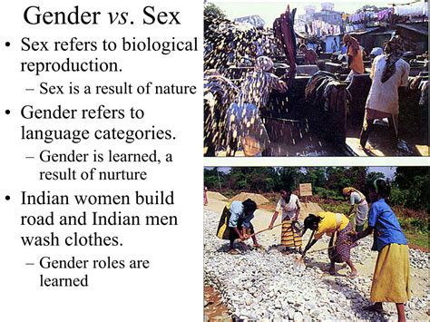 Ppt Anthropology 308 Women Sex Roles And Culture Powerpoint