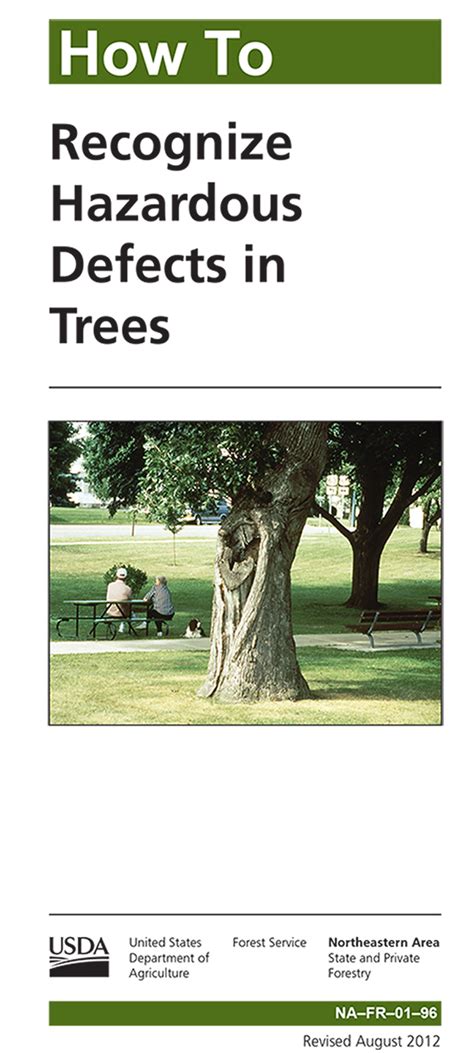 How To Recognize Hazardous Defects In Trees Us Government Bookstore