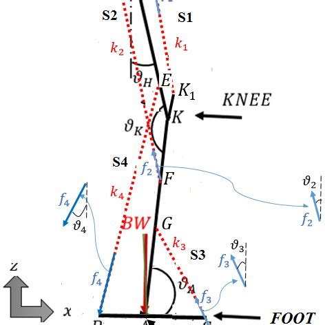 Bipedal Locomotion Model With Compliant Legs Only One Of The Two Legs