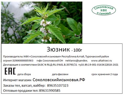 Зюзник Европейский 100г - Алтайские травы
