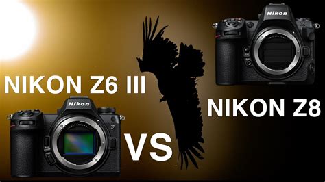 Nikon Z6 Iii Vs Nikon Z8 Comparaison Af Sensibilité Ergonomie Photo