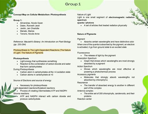 Solution Photosynthesis Concept Map Studypool