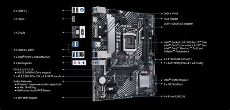 Asus Prime B560m K Lga 1200 11th Gen Matx Motherboard Global Express