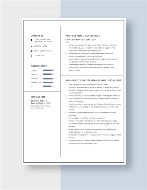 Chief Security Officer Resume in Word, Pages - Download | Template.net