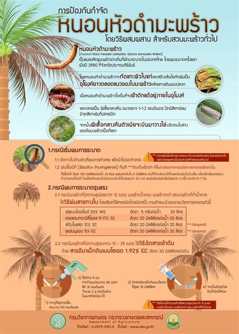 การป้องกันกำจัดหนอนหัวดำมะพร้าว