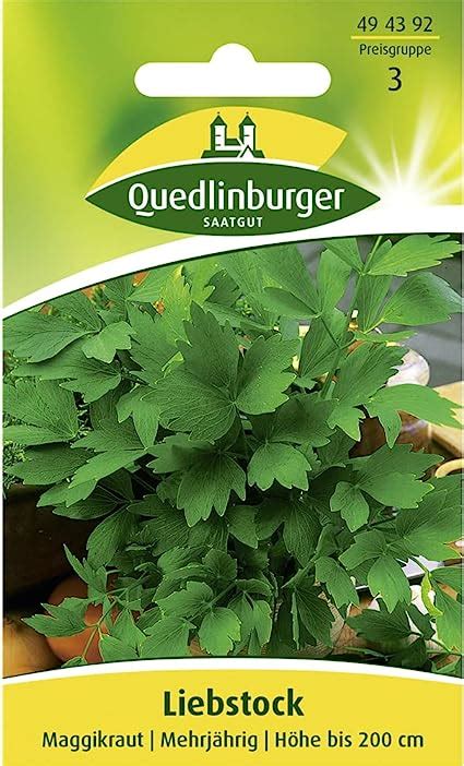 Liebstock Maggikraut 1 Tüte Samen Amazonde Garten