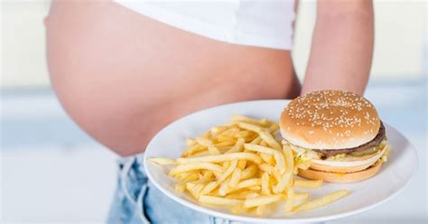 Científicas platenses analizan cómo afecta la malnutrición materna al