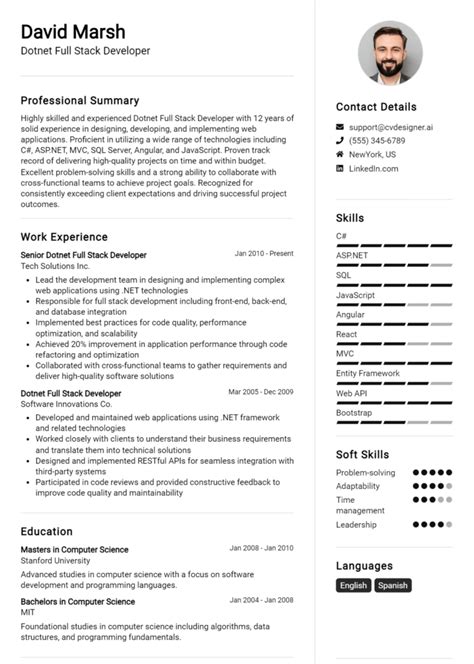 Dotnet Full Stack Developer Cv Example For Free Professional