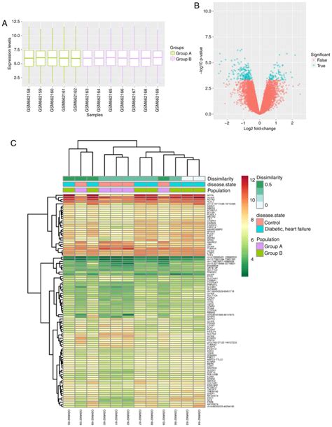 Construction And Analysis Of A Lncrnamirnamrna Network Based On