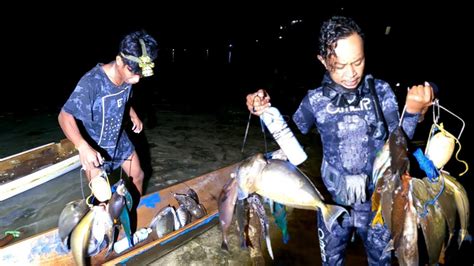 Night Spearfishing Ikan Kulit Pasir Blue Spine Unicorn Fish Di Desa