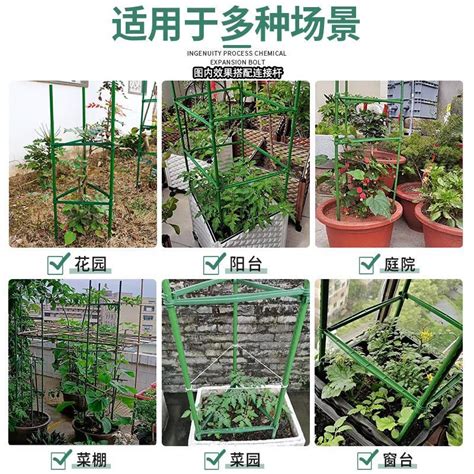 园艺支架豆角黄瓜爬藤支撑杆包塑钢管花园庭院植物番茄固定爬藤架虎窝淘