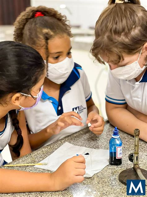 Colégio Santa Madalena Sofia Alunos Do 4º Ano Do Ensino Fundamental Aprendem Na Prática Sobre