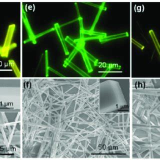 A C E G I Fluorescence Microscopy Images And B D F H J Sem Images