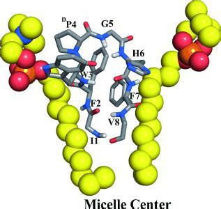 Hairpin Peptides Heme Binding Catalysis And Structure In Detergent