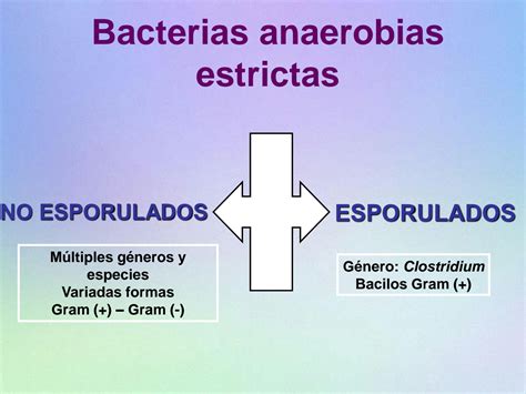 Solution Microbiologia Bacterias Anaerobias Estrictas Studypool