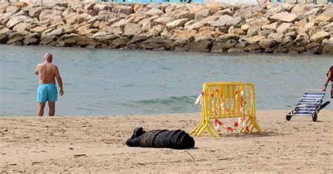 Troben El Cos Sense Vida D Un Nen D Entre Dos I Quatre Anys A La Platja