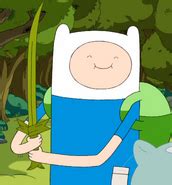 Finn's swords | Adventure Time Wiki | FANDOM powered by Wikia