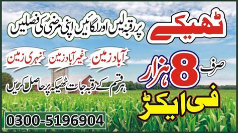 Land For Sale Agricultural Land For Rant Cheap Land In Noorpur Thal