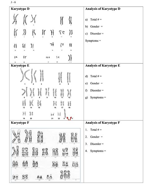 Solved Chromosomes In Karyotypes Are Arranged In Groups With Chegg